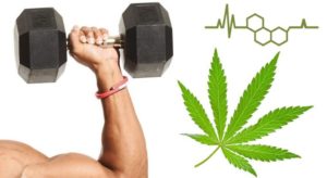 CBD fitness benefits
